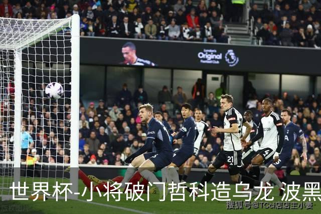 世界杯-小将破门哲科造乌龙 波黑3-1卡塔尔小组第三
