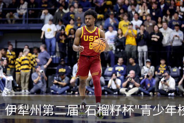 伊犁州第二届"石榴籽杯"青少年校园足球联赛暨抖音足球少年行州级足球联赛圆满闭幕