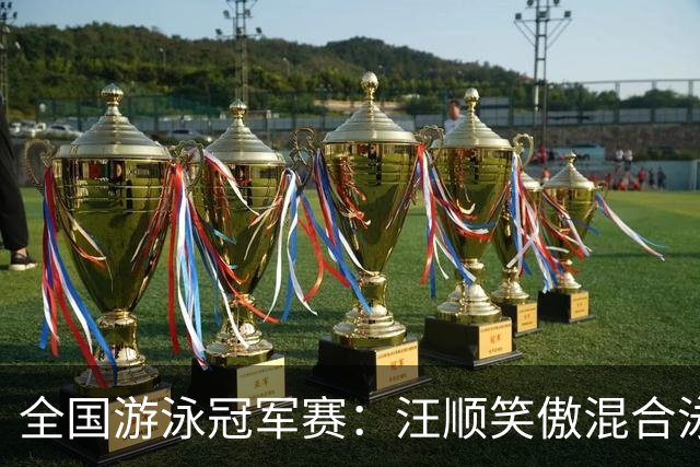 全国游泳冠军赛：汪顺笑傲混合泳 于子迪夺金