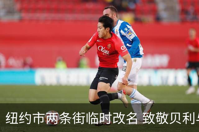 纽约市两条街临时改名 致敬贝利与亨利