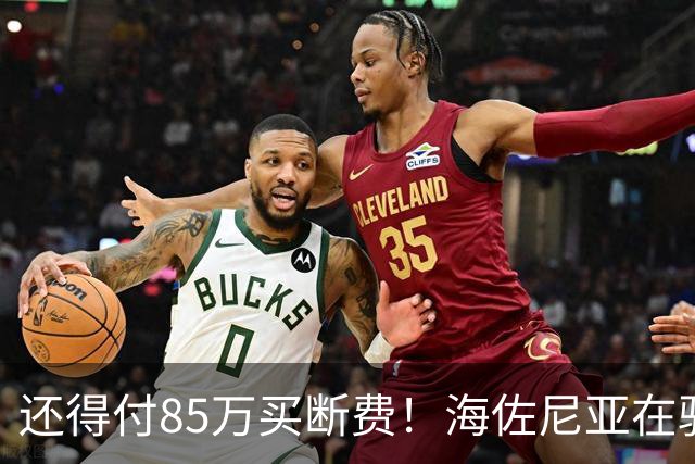 还得付85万买断费！海佐尼亚在骑士年薪280万美元 远不如皇马时期