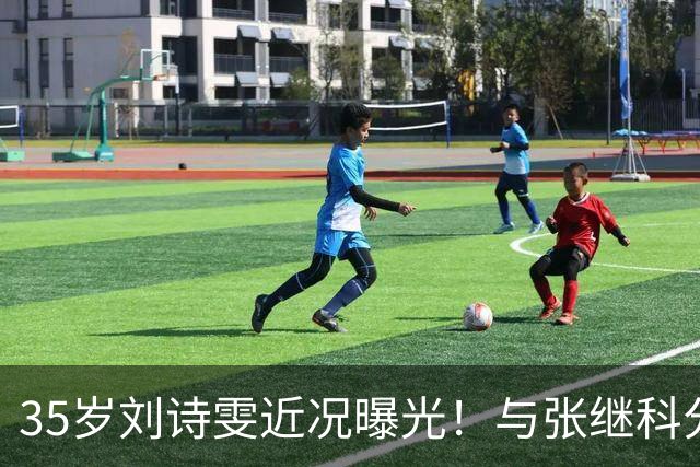 35岁刘诗雯近况曝光！与张继科分手12年，如今独身深耕学业与事业